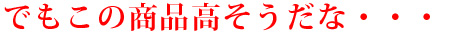 でもこの商品高そうだな・・・