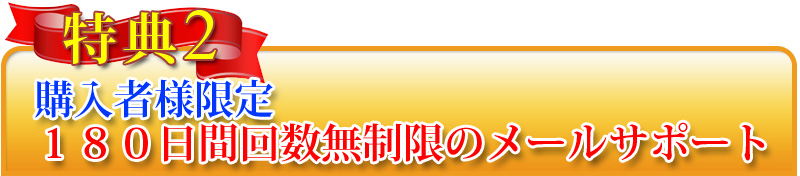 特典2:購入者様限定180日間回数無制限のメールサポート