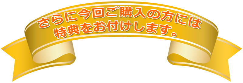 さらに今回ご購入の方には特典をお付けします。